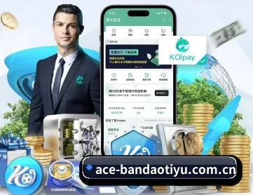 半岛体育首页 APP 深度功能